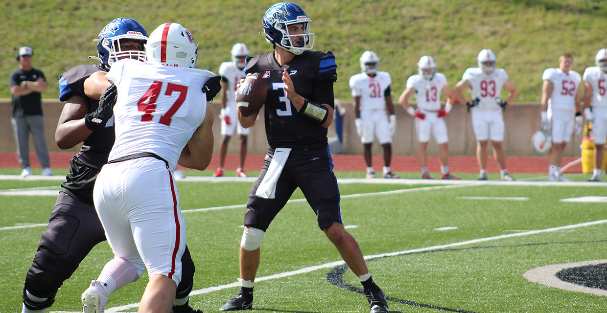 Wildcat Football Succumbs at Home to Grand View